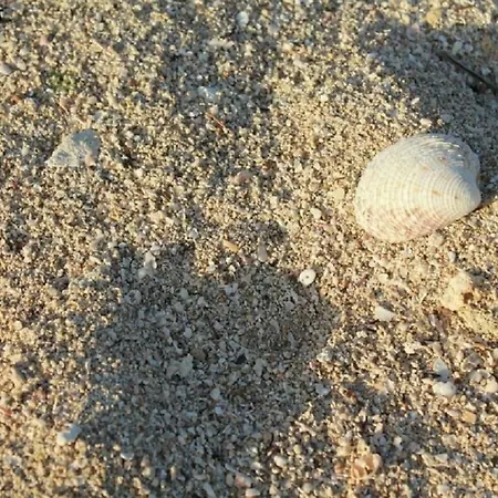 Albachiara *